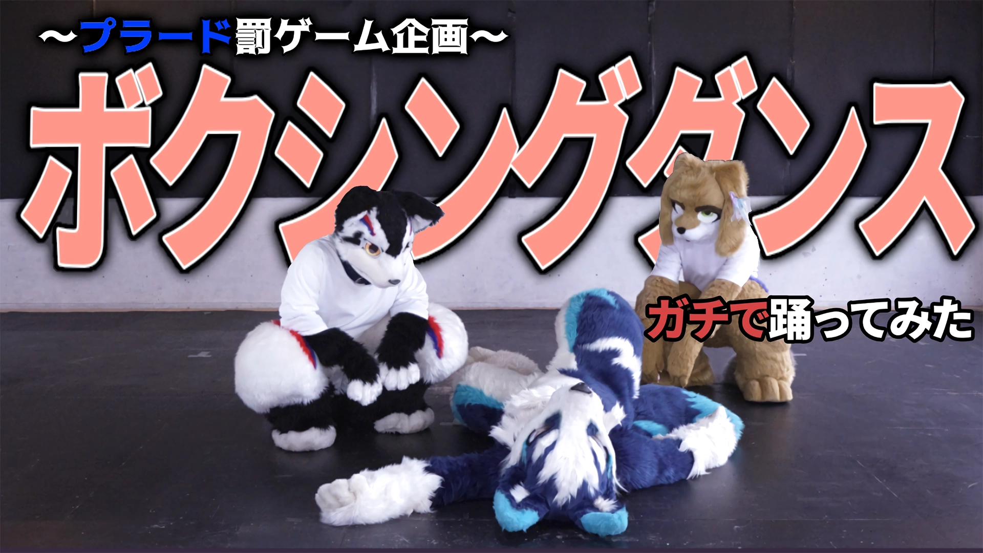 【プラード罰ゲーム企画2】ボクシングダンスをガチで踊ってみた【るーふる】